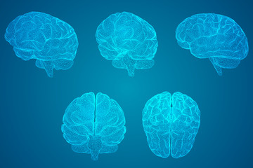 国产车大换标失败成功者是谁？