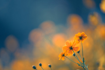 如何解决摩托车冬天不好打火的问题？