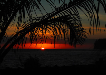 2008年奥运会乒乓球的冠军是谁？