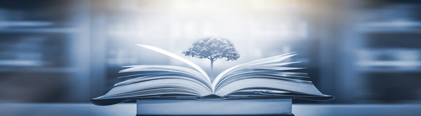 10万以内落地的轿车有哪些车型值得推荐？