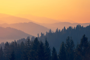 小学体育比赛活动方案