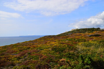 南京有哪些名人