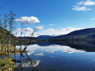 国产车大换标失败成功者是谁？