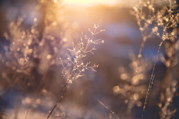 10万以内落地的轿车有哪些车型值得推荐？