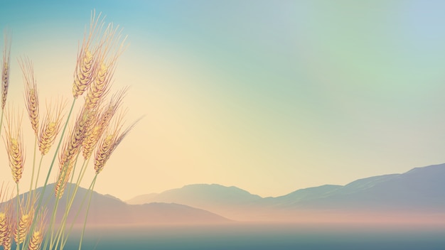 如何解决摩托车冬天不好打火的问题？