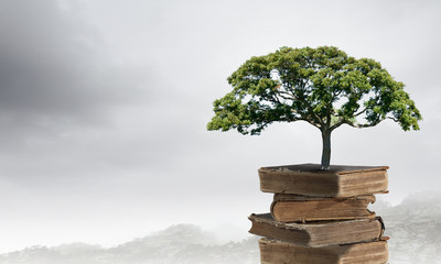 为什么很多人喜欢福原爱？