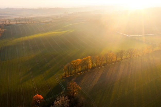 国产车大换标失败成功者是谁？