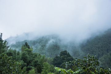 为什么很多人喜欢福原爱？